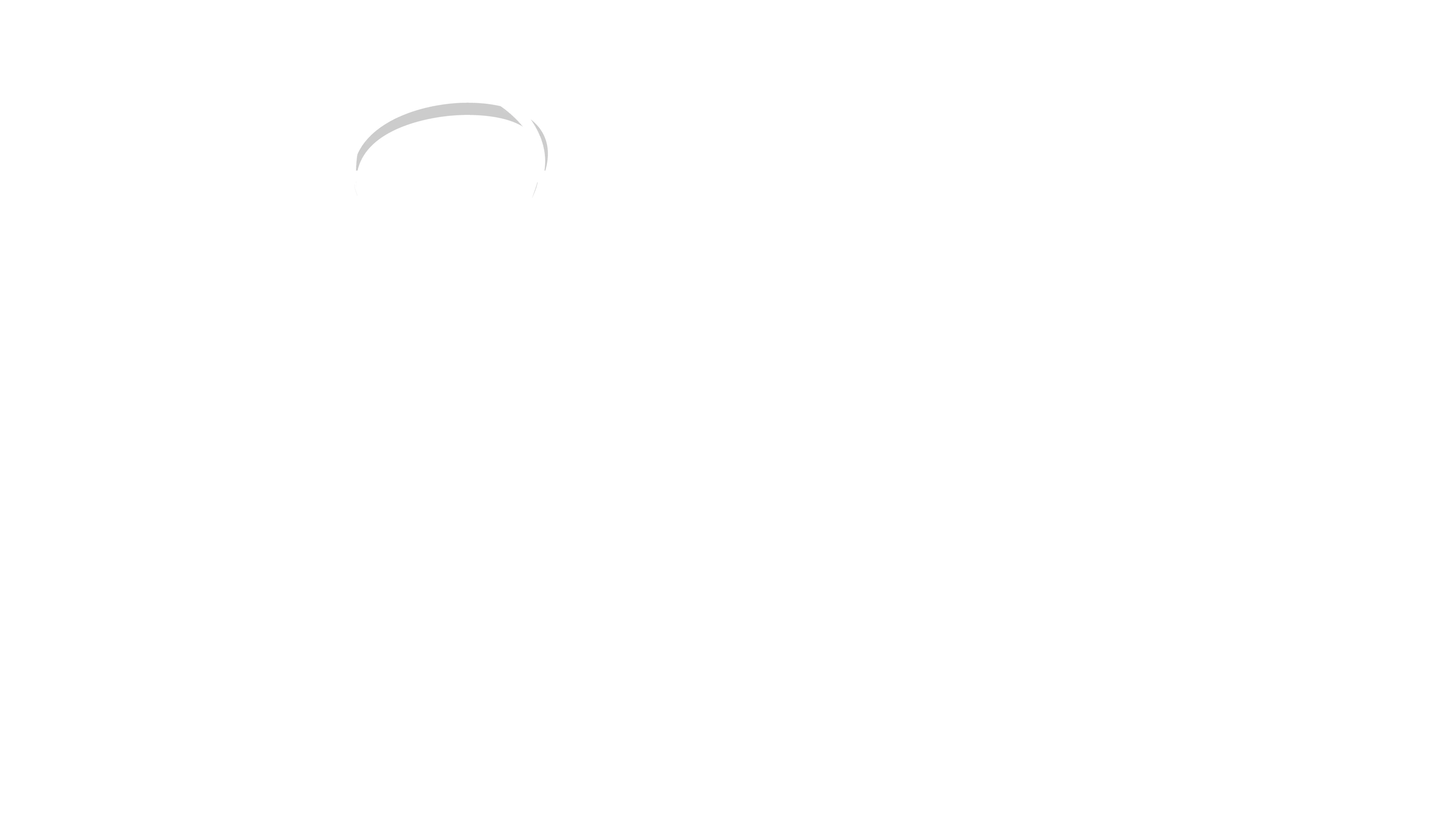 Shaan Bazaar Logo